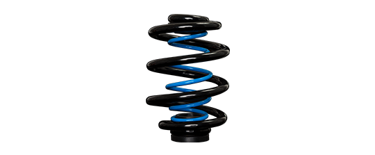 Auxiliary coil springs